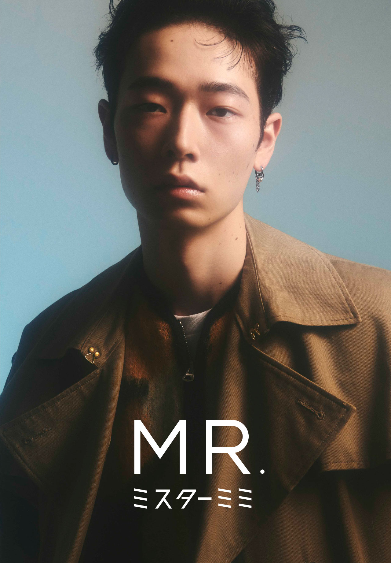 聖なる宝飾芸術 聖なる宝飾芸術 永遠の美を求めて 有川一三（著）、ダイアナ・ス